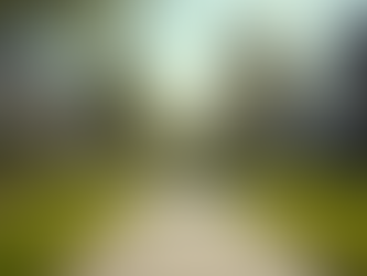 Houston Home Pricing Trends: A Friendly Guide to Understanding the Market