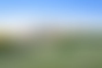 Navigating Houston Homes for Sale: Your Friendly Guide to Finding the Perfect Place