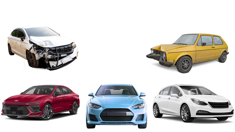 Untitled design final.png