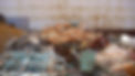 select01_edited.jpg