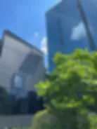 SOY不動産