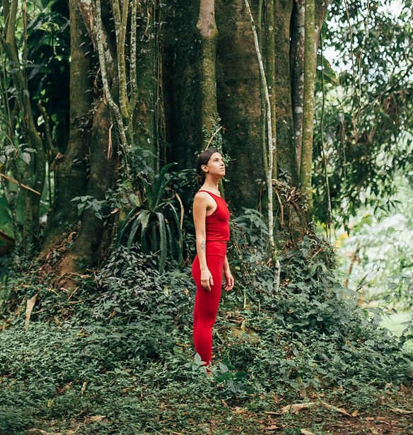 floresta medita menor.JPG