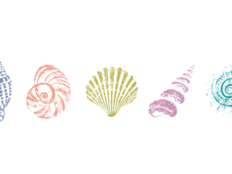 Winterdegustation im gemütlichen Genussraum