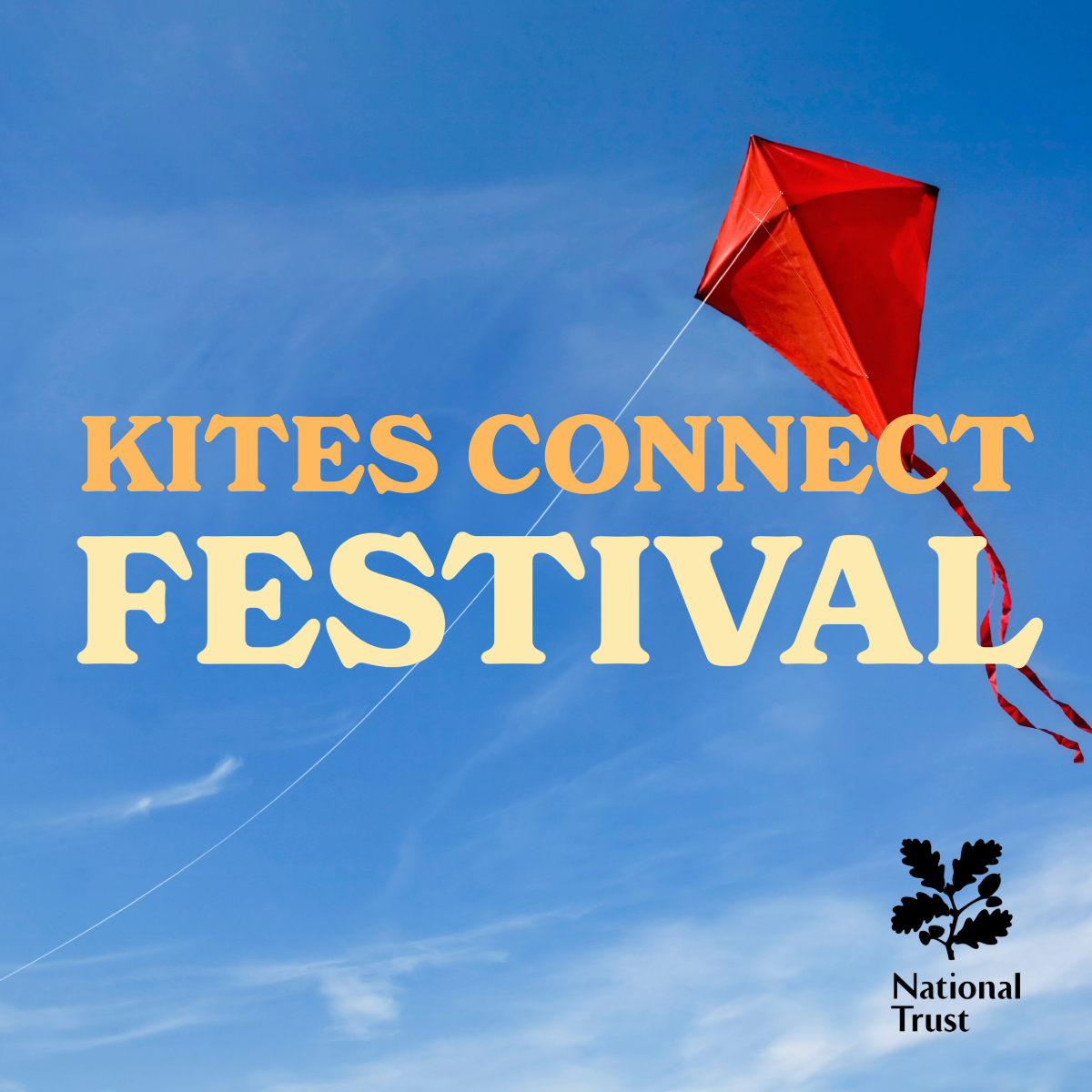 Kites Connect Festival