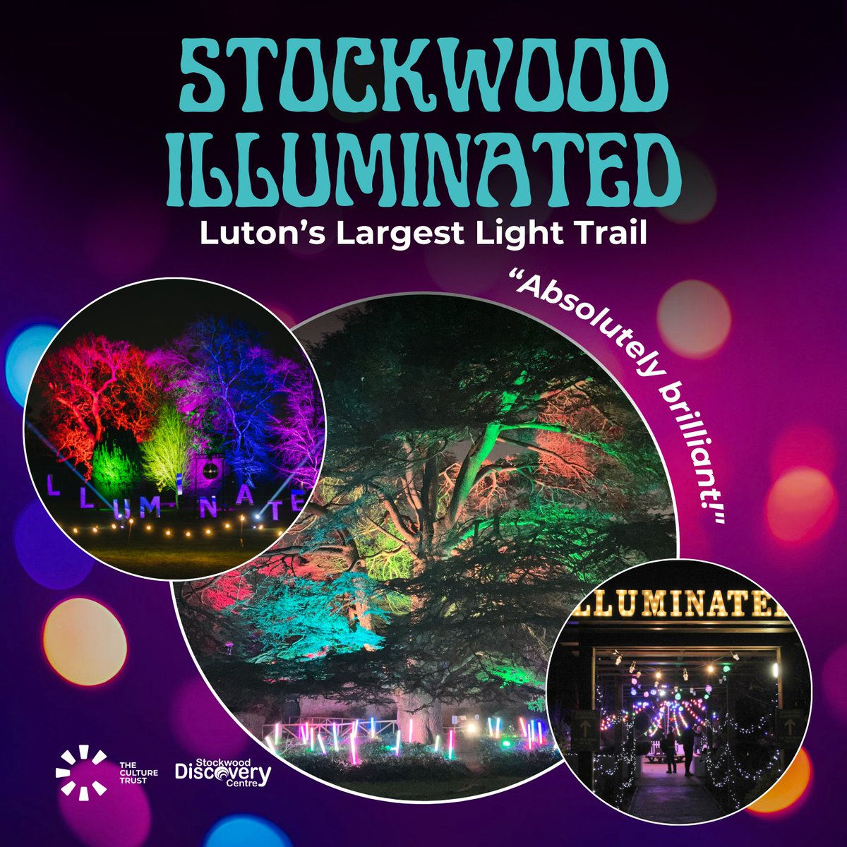 Stockwood Illuminated