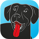 BringFido Logo