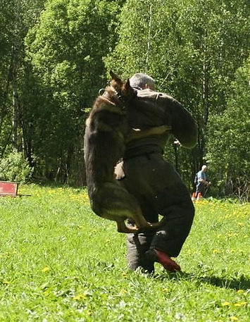 Харитон обр.jpg