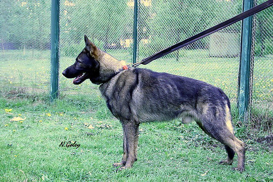 Кузьма с КП 1,10 эксп.jpg