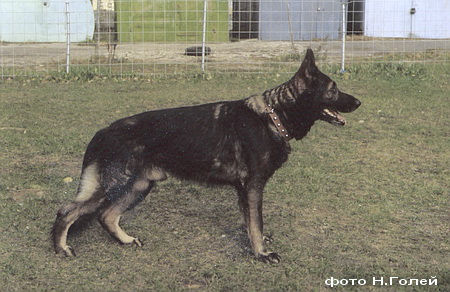 Ури, вл. Абрамов С. Б.