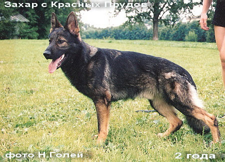 а-Захар с Красных Прудов