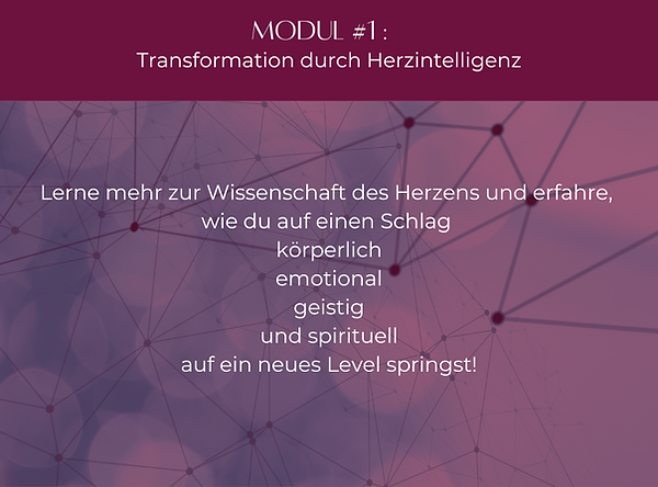 Modulbild 1 (3).png