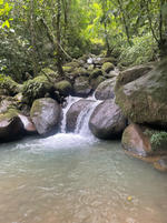 IMG_3823.HEIC