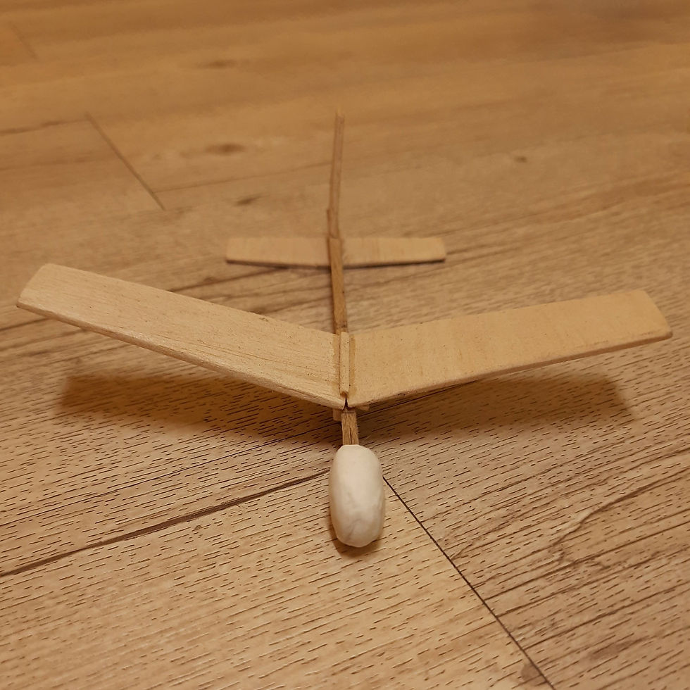 Thumbnail: Seagull Glider