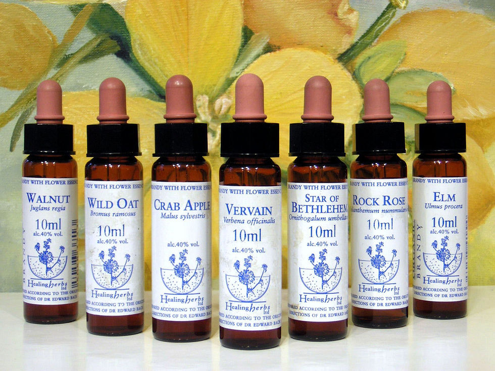 Bach-Blüten-Workshop