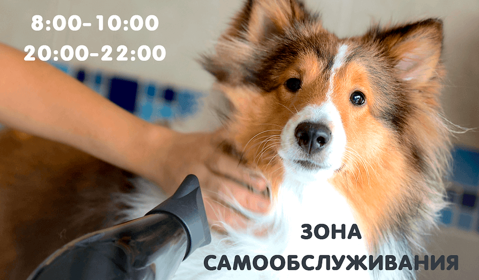 Самообслуживание зона.png