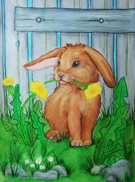Hase kleiner.jpg