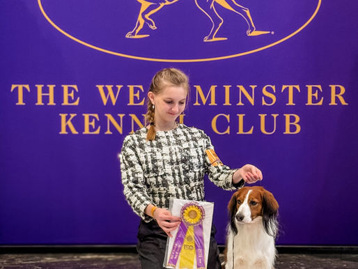 Breaker wins BOB at Westminster