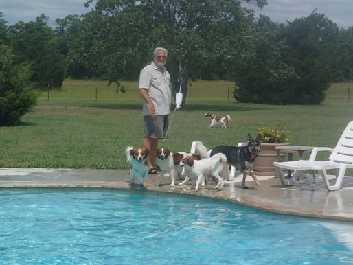 Pool Party