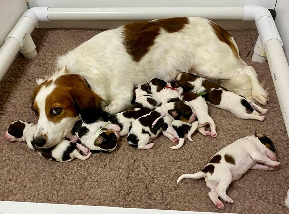 6 girls and 3 boys