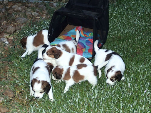 First time outdoors