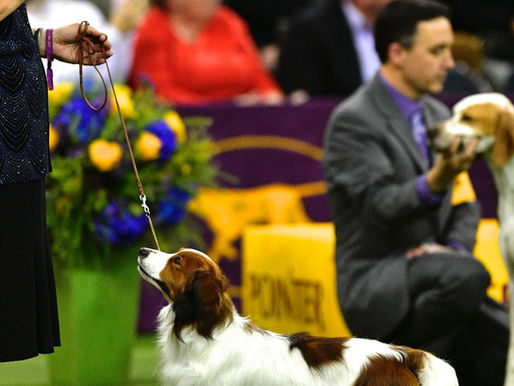 So proud of Harvey!