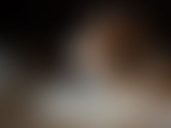 New galleries have been added in "Photos"