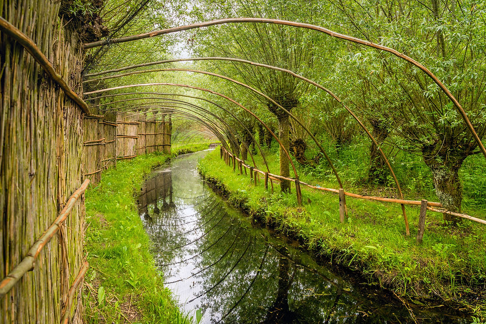 AdobeStock_159074361.jpeg