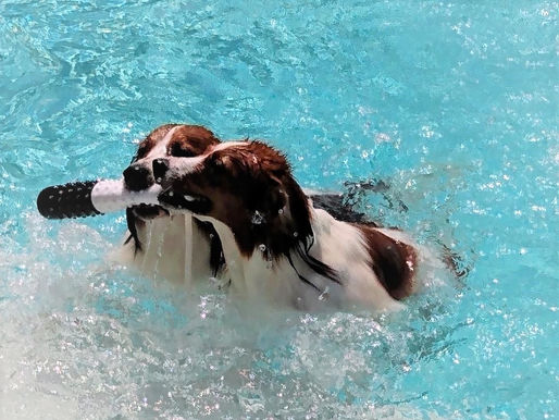 Enjoying the pool!