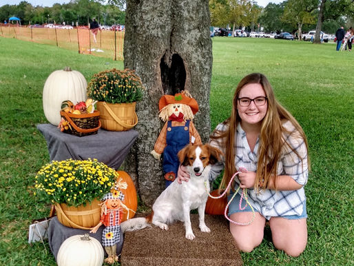 Fun at Galveston County Kennel Club's FastCat today