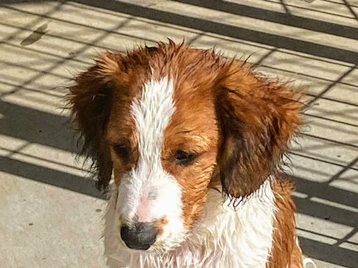 Pool Time