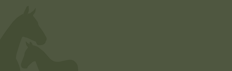 headers-02.png