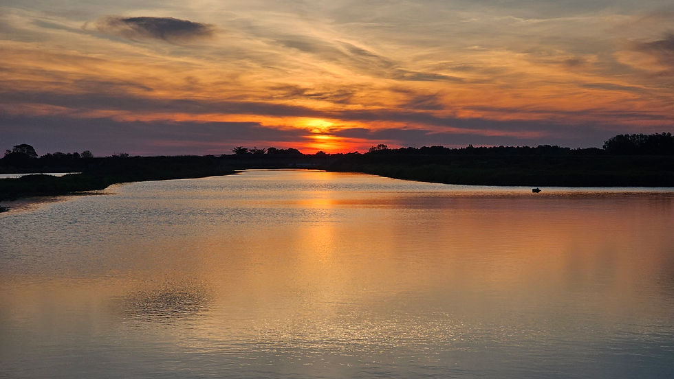 Les marais en soirée