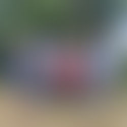 The "Oxford Bags" have been packed