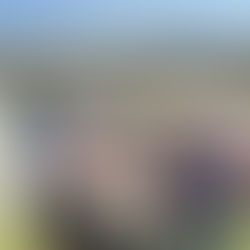 Handmade Oxford opened its doors for the 5th time!