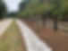 Black HDPE fencing along a pasture
