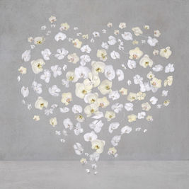 Arden Gallery - Arden Gallery - "Shining Heart," Dye-sublimation aluminum print with acrylic face mount and white float frame, 18 x 18 inches, $2,000 each, limited editon of 12