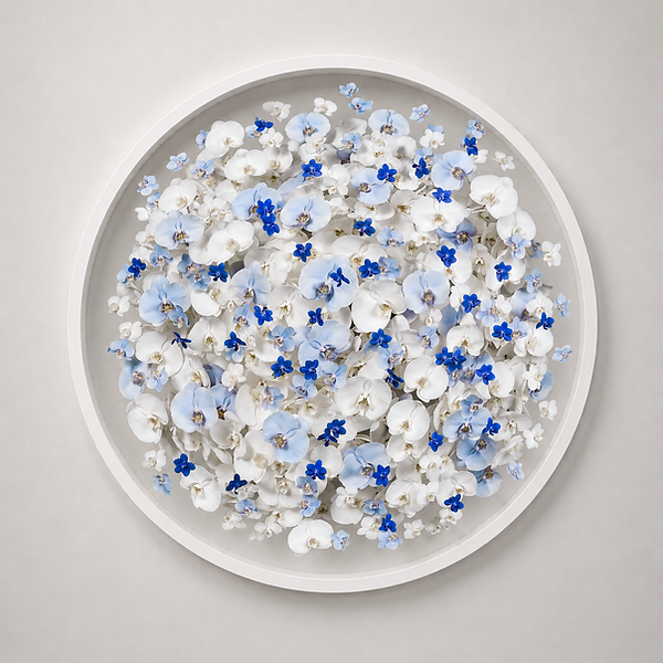 Arden Gallery - Isabelle van Zeijl, "The One You Love," 2026

C print on dibond acrylic mount, 32 inch diameter with custom white frame - $6,500 

(also available in 42" and 59"; limited editions)