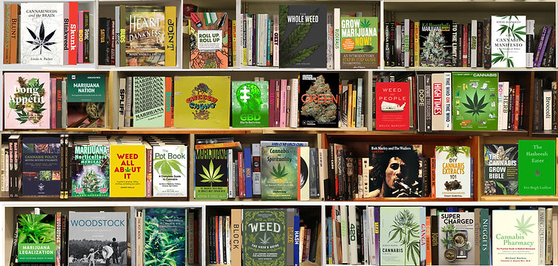 Arden Gallery - Max Steven Grossman, "Weed," metallic photograph print on acrylic mount, available: 37 x 75 and 48 x 100 inches, contact for price