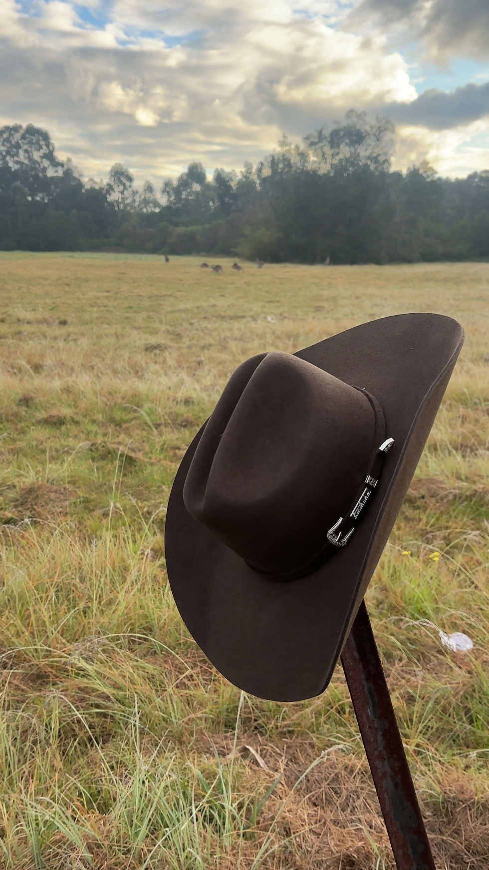 Thumbnail: Western Range -Outback Rider