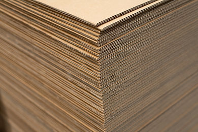 AdobeStock_247532032.jpeg