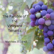 Sunday the 4th of October 2026 - The Twenty-Seventh Sunday in Ordinary Time