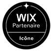 partenaire wix agence marketing site internet digi plus group charleroi (1).png