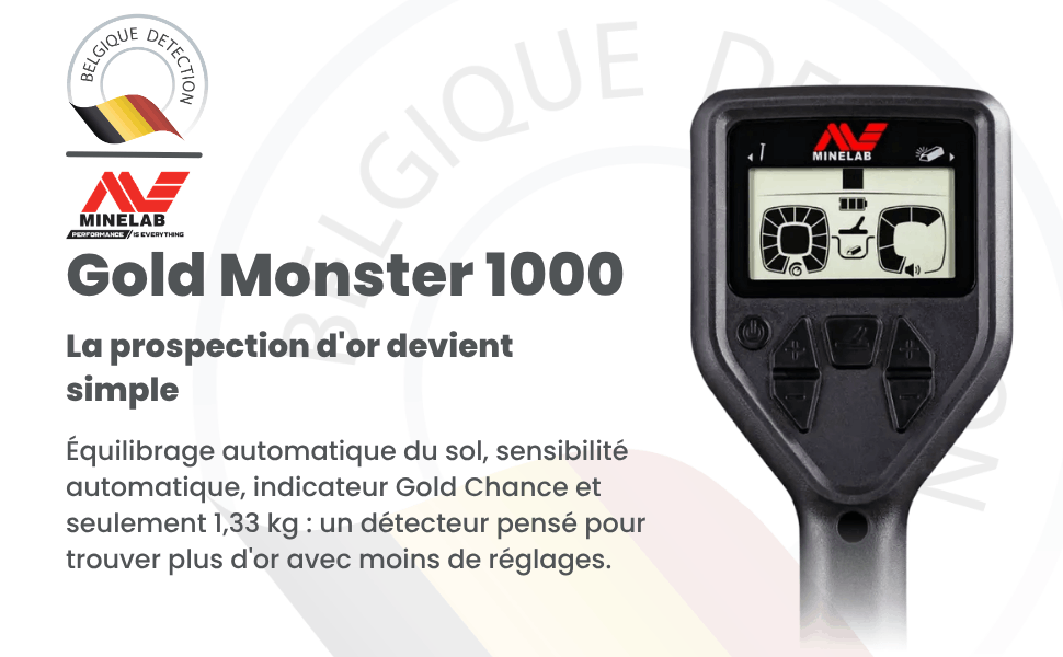 écran du minelab gold monster 1000 détecteur d'or belgique détection