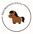 équimotricité ferme du champ du loup.jpg