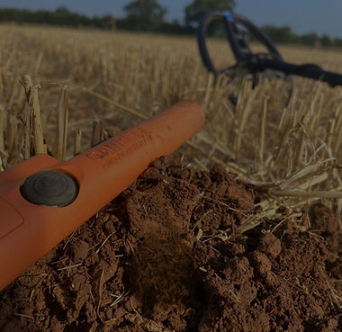 garrett pro pointer at z-lynk belgique détection
