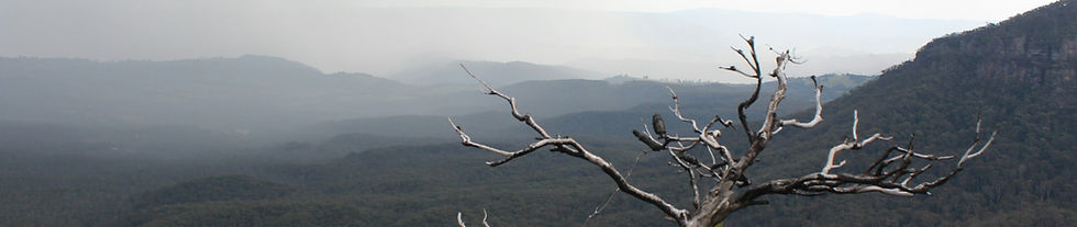 Unpacking science behind 2025-26 fire season