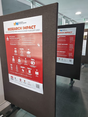 A comprehensive poster display provided talking points and opportunities networking (Image: Philip Sen/WSU)