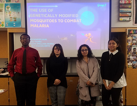 Copy of 20181127_132157.jpg