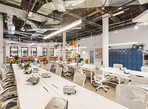 Urban Modern Ergonomic Interior Design 