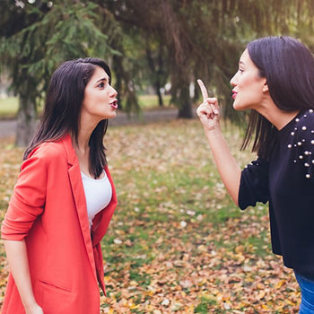 Adult siblings arguing.